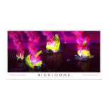 Alien, Landscape, Flowers, Bloom, Light,