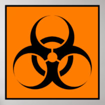 Biohazard 05 poster