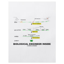 Biological Engineer Inside Flyers