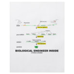Biological Engineer Inside flyers