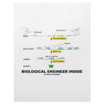 Biological Engineer Inside Letterhead Template