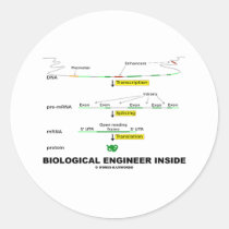Biological Engineer Inside Sticker