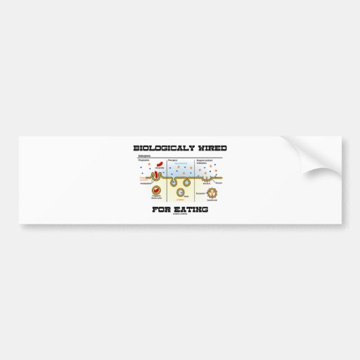 Biologically Wired For Eating (Endocytosis) Bumper Stickers
