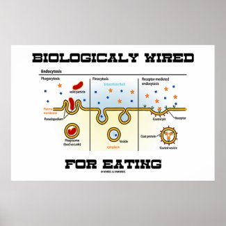 Biologically Wired For Eating (Endocytosis) Poster