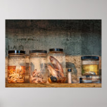 Biology - Biology 101 Print