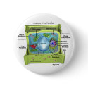 Biology button
