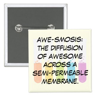 Biology & Chemistry Teachers: Science is Awesome Pinback Button