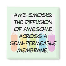 Biology & Chemistry Teachers: Science is Awesome Refrigerator Magnets