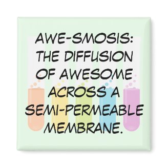 Biology & Chemistry Teachers: Science is Awesome Refrigerator Magnets