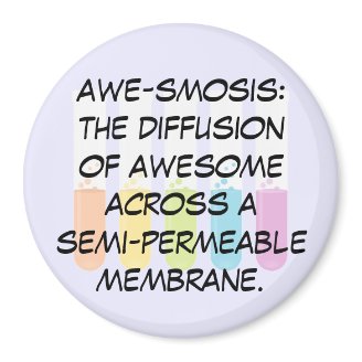 Biology & Chemistry Teachers: Science is Awesome Refrigerator Magnet