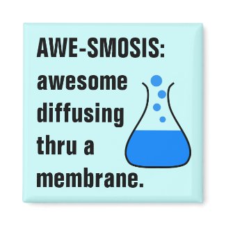 Biology & Chemistry: Teaching Science is Awesome zazzle_magnet