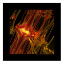 Biology: communication #1 posters