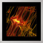 Biology: communication #1 print