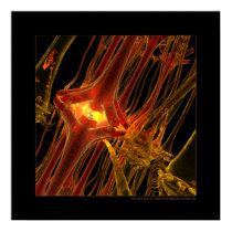 Biology: communication #1 posters