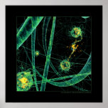 Biology: communication #2 print