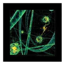 Biology: communication #2 posters