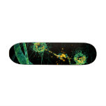 Biology:communication #2 skateboard