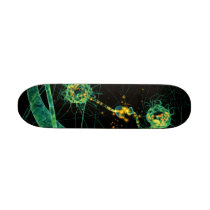 Biology:communication #2 skateboard skateboards