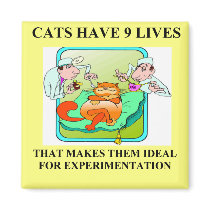 biology experiment joke magnets