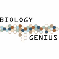 Biology Genius photo sculptures