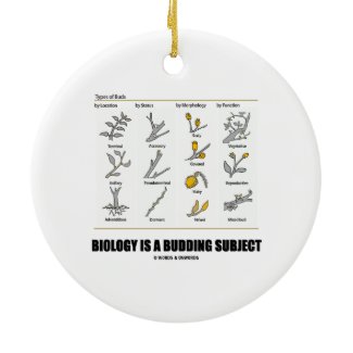 Biology Is A Budding Subject (Types Of Buds) Christmas Tree Ornament