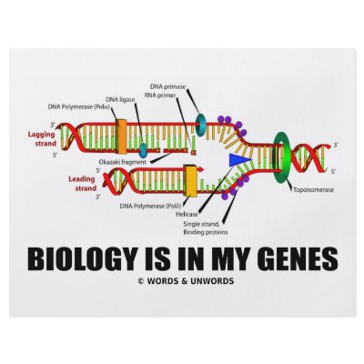 Biology Is In My Genes (DNA Replication) Flyers by wordsunwords