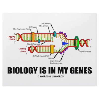 Biology Is In My Genes (DNA Replication) Personalized Letterhead by wordsunwords