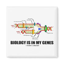 Biology Is In My Genes (DNA Replication) Refrigerator Magnet