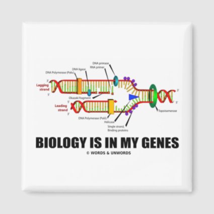 Biology Is In My Genes (DNA Replication) Refrigerator Magnet