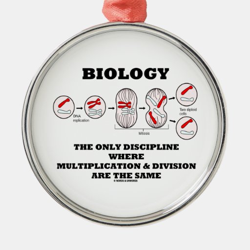 biology-only-discipline-multiplication-division-christmas-ornament
