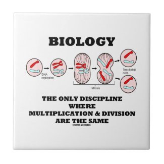 Biology Only Discipline Multiplication Division Tile