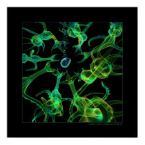 Biology: predation posters
