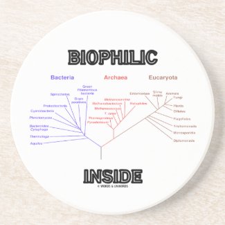 Biophilic Inside (Phylogenetic Tree Of Life) Beverage Coasters