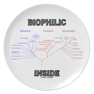 Biophilic Inside (Phylogenetic Tree Of Life) Party Plate