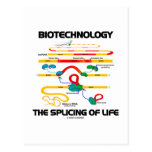 Biotechnology The Splicing Of Life (Mature RNA) Post Cards