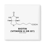Biotin (Vitamin H Or B7) Chemical Molecule Magnet