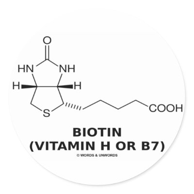 Biotin (Vitamin H Or B7) Chemical Molecule Round Sticker by wordsunwords