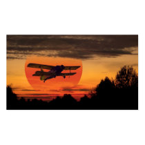 biplane business card