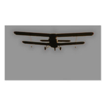 biplane business card