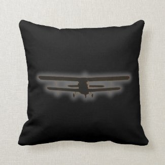 biplane pillow