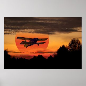 biplane poster