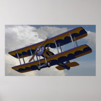 BiPlaneFlying Print