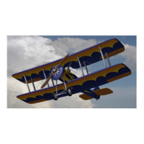 BiPlaneFlying posters