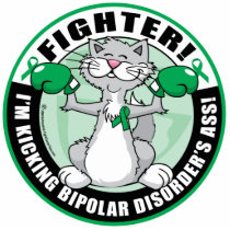 Bipolar Disorder Cat Fighter photo sculptures