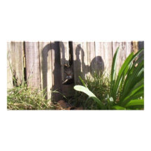bippyfence personalized photo card