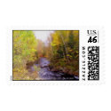 Birch and Brook Postage Stamp by terraphotography Birch and Brook Postage Stamp