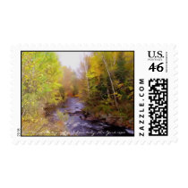 Birch and Brook Postage Stamp by terraphotography Birch and Brook Postage Stamp