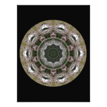 Birch and Heather Patterns Photo Art