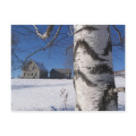 birch and home