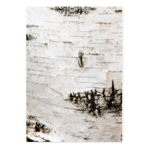 Birch bark 2330 business card template